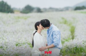 韓国ドラマ『流れ星』のキスシーンは何話？胸キュン&ベッドシーンも調査！
